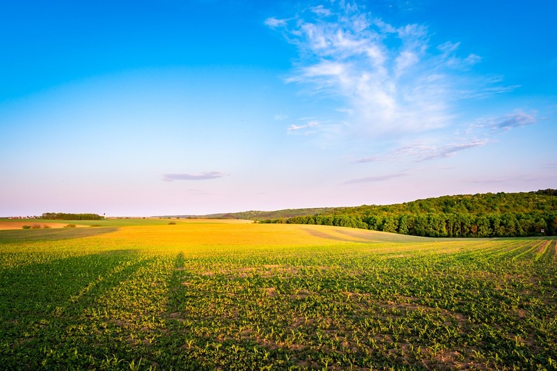 agriculture (1) agri